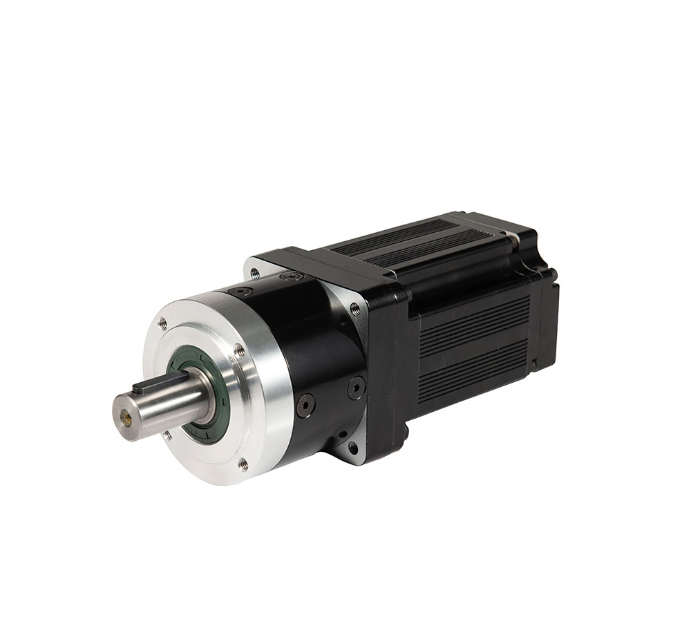 Motore Brushless BLDC con Ridu - Bldc Planetary Gear Motor 48V High Torque recensione e prezzo
