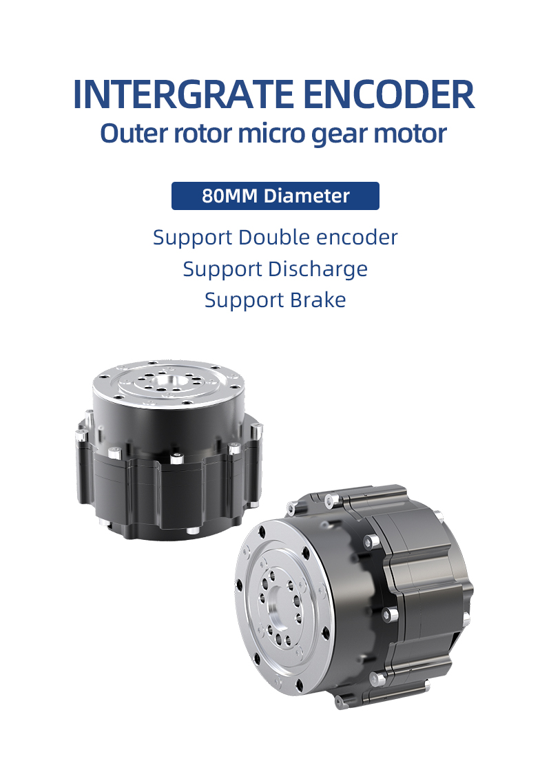 SigGear 80mm 24V 48V 16Nm 100R - Bldc Planetary Gear Motor 48V High Torque recensione e prezzo